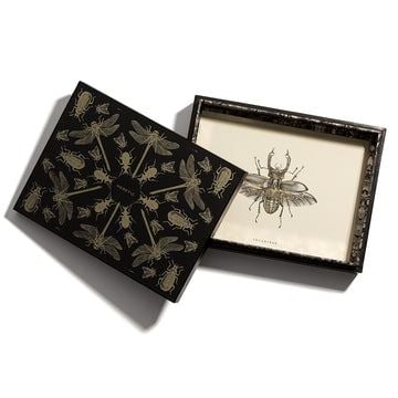 Heretic Parfum Entomologist Correspondence Set