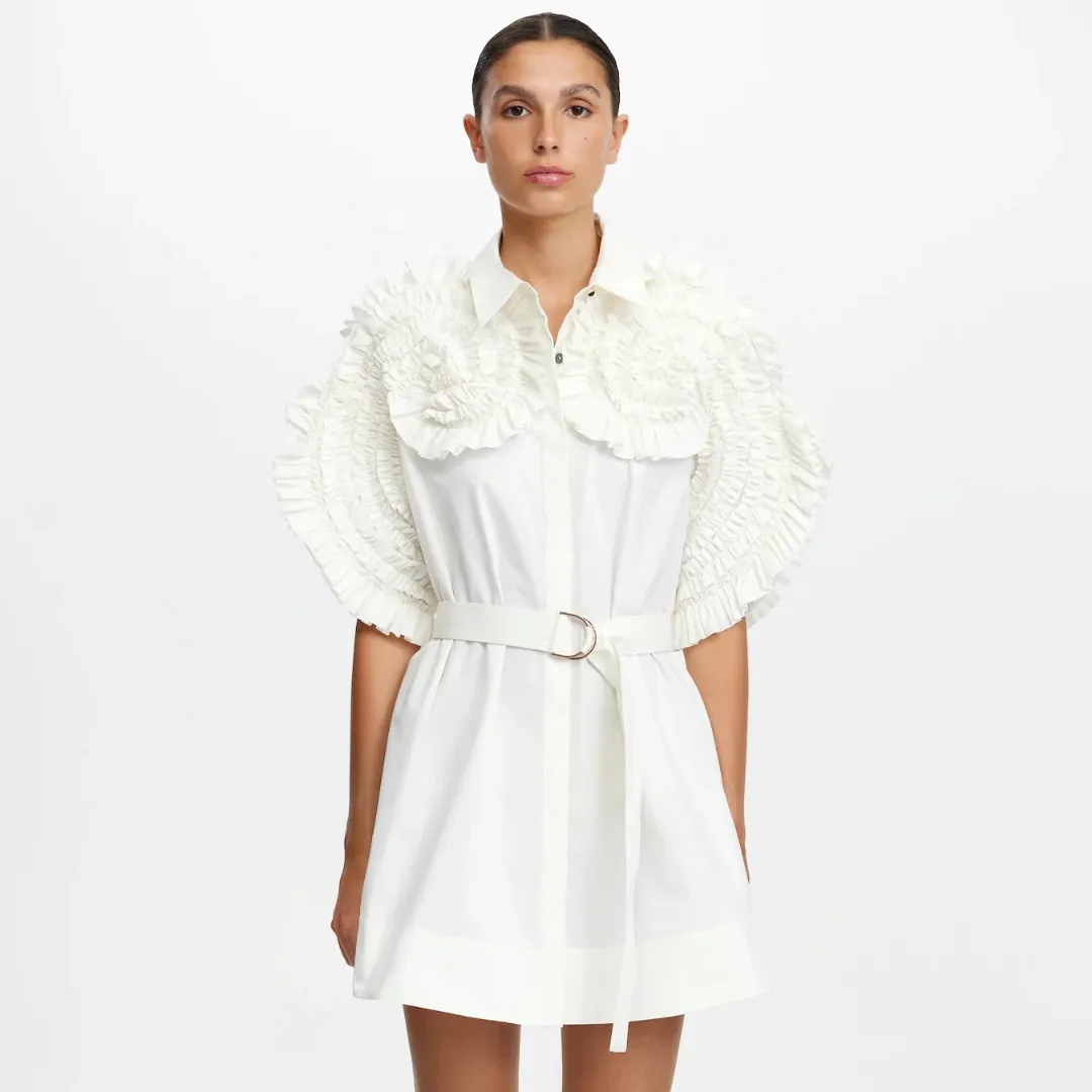 Acler Mini Dress