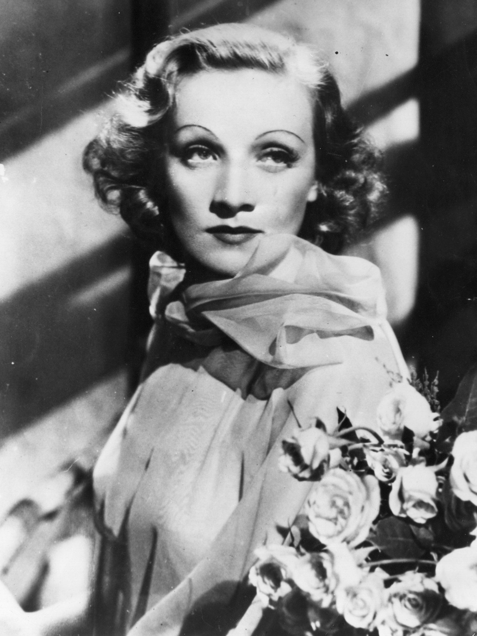 Portrait of Marlene Dietrich.