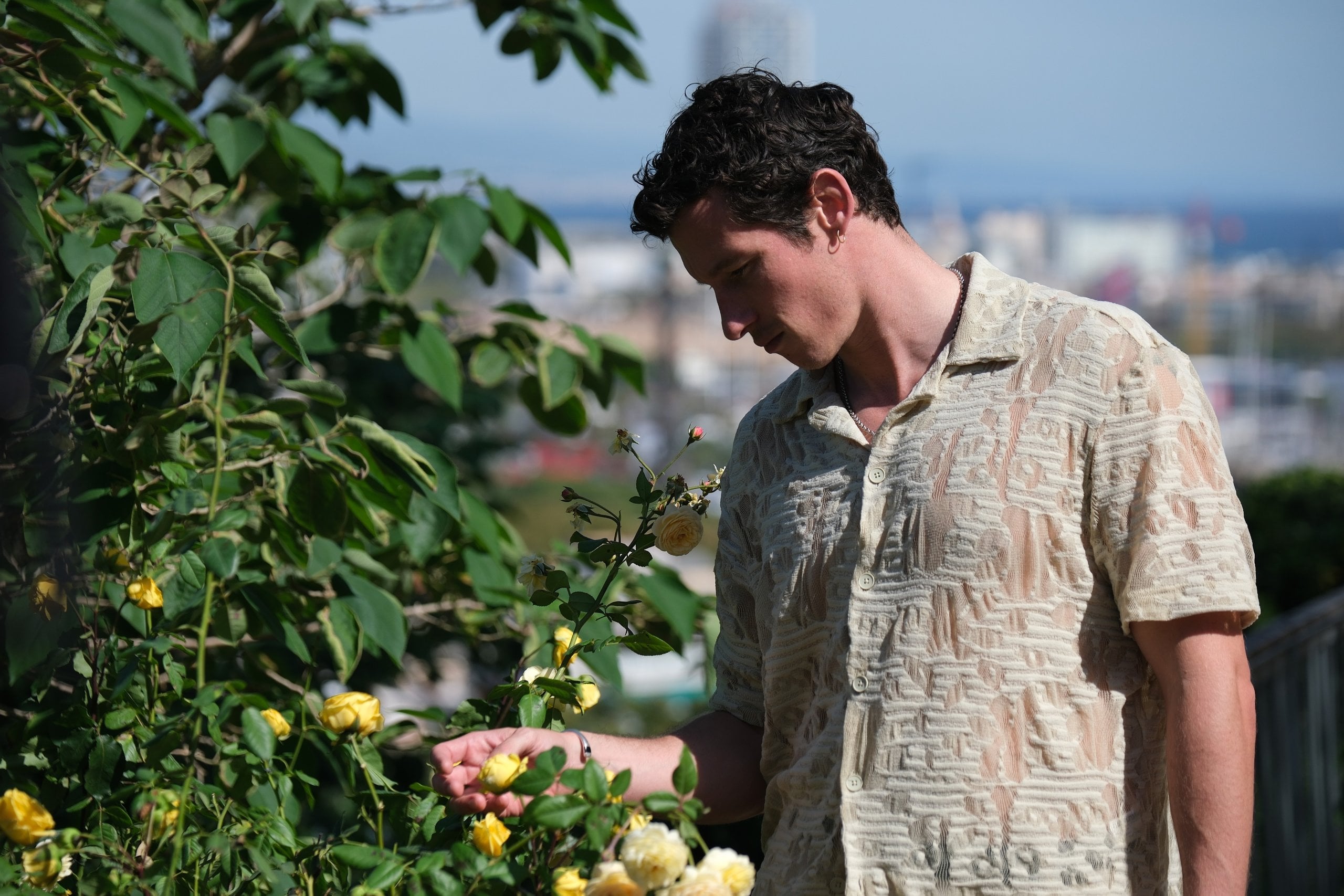 Callum Turner in "Rosebush Pruning."