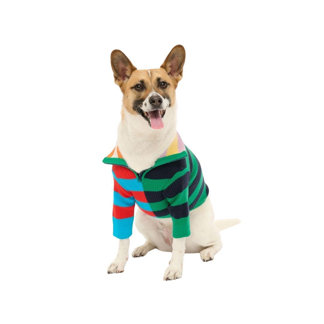 Staud Pet Hampton Sweater